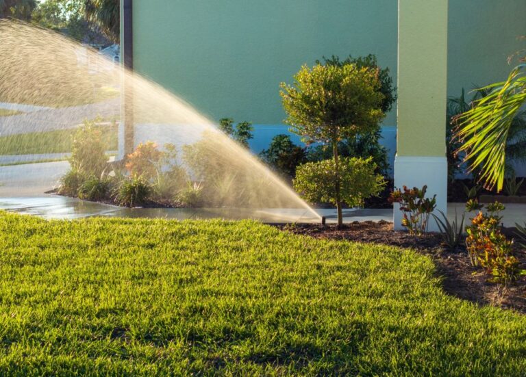 Savršen travnjak ispred kuće